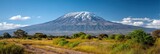 photo of mount kilimanjaro 