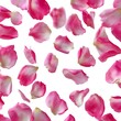 © MSTKolpana - A collection of pink rose petals are scattered across a white background