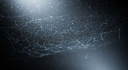 Delicate spiderweb with morning dew, intricate network
