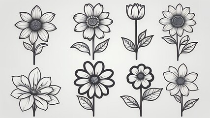 Poster - A collection of eight flower sketches in black and white with various petal designs and stems