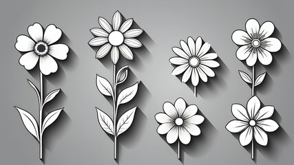 Poster - White floral illustrations with shadows on a gray background in a simple line art style