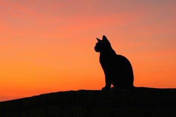 Naklejka na meble Tranquil sunset with cat silhouette on a wall for peaceful relaxation themes