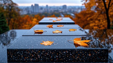 Poster - Autumn Leaves Resting On Wet Granite Steps