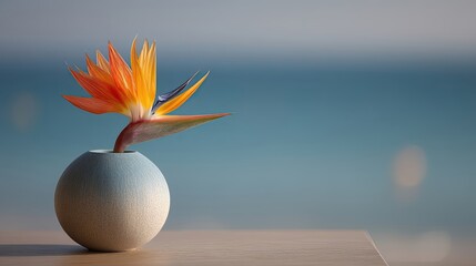 Poster - Vibrant Bird of Paradise Flower in Minimalist Vase With Coastal Light on Wooden Table