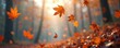© Vadym - Falling autumn leaves rustle in the wind. Nature scenic view in sunlight, blurred forest background, golden hour. Seasonal photo for postcards, wallpapers, fall sales.