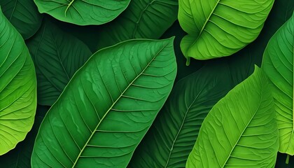 green leaf texture