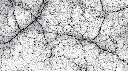 Abstract Black And White Crackle Texture Background