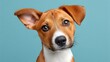 © Supot - A close-up portrait of an adorable dog with expressive eyes, featuring a warm brown and white coat against a light blue background, radiating curiosity and charm.