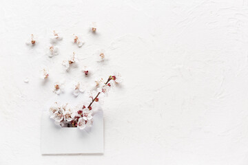 Envelope with beautiful blooming tree branch and flowers on white background