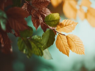 Aufkleber - Close Up View of Autumn Tree Branch with Colorful Leaves Showing Seasonal Change and Natural Transition : Generative AI