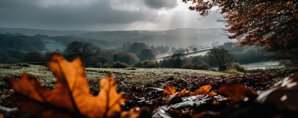 Poster - Blowing in the wind with sunrise over foggy meadow hill concept. A serene autumn landscape with fallen leaves and soft sunlight.