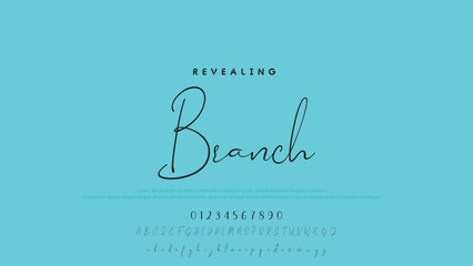 Fototapete - handwrite signature font Calligraphy Logotype Script Brush Font Type Font lettering handwritten