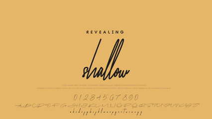 Poster - Hand drawn vector alphabet. Modern monoline signature script font. Elegant Signature Font. Best Alphabet Beautiful Calligraphy Signature Font