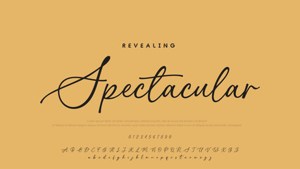Poster - Hand drawn vector alphabet. Modern monoline signature script font. Elegant Signature Font. Best Alphabet Beautiful Calligraphy Signature Font