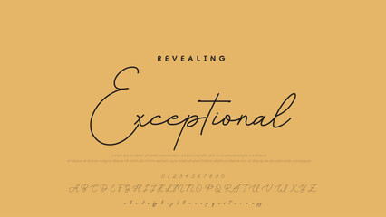 Poster - Hand drawn vector alphabet. Modern monoline signature script font. Elegant Signature Font. Best Alphabet Beautiful Calligraphy Signature Font