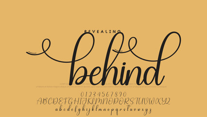 Poster - Signature script lettering font.