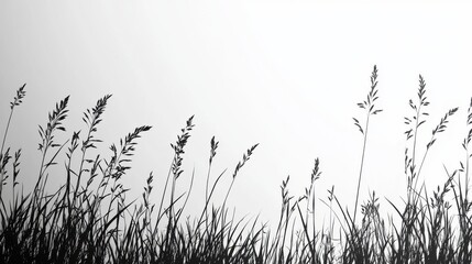 Poster - Black and White Stippled Grass Illustration