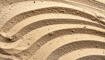 Poster - Creating sand patterns artistic design in nature textured landscape minimalist approach serene environment
