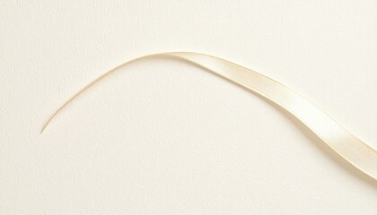 Poster - Elegant ribbon flowing across a soft background abstract art minimalistic design studio environment close-up view