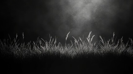 Poster - Glowing Particles on Dark Background Abstract Image