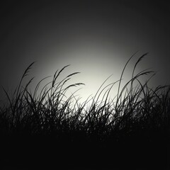 Poster - silhouette of tall grass at night with sparkling lights