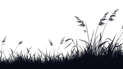 Poster - silhouette of tall grasses against white background