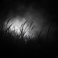 Poster - Silhouetted Grass in Hazy Light Monochrome Landscape Photography