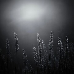 Poster - silhouetted grass stalks in hazy monochromatic light