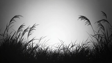 Poster - silhouetted grass in monochrome landscape