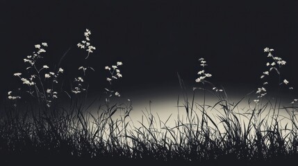 Poster - Silhouetted Grasses in a Dark Night Illuminated by Soft Light