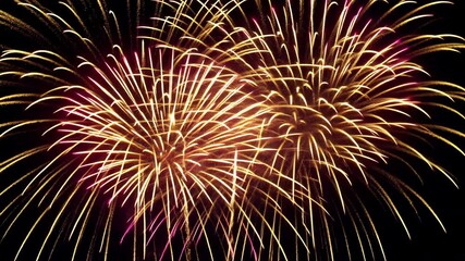 Poster - Spectacular Fireworks Bursting in Colorful Patterns Against Night Sky