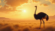 © Simon - Ostrich standing in golden grassland at sunset