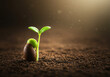 © Minara - Emerging plant seedling sprouting from seed in rich soil with bokeh background