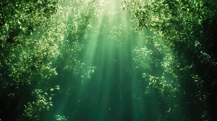 algae bloom underwater shot with green texture murky light and ecological tone ideal for nature scie