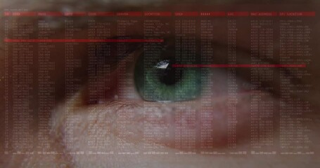 Leinwandbilder - 3D render showing eye undergoing biometric scan in cyber scene with green iris and red code