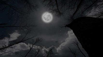 Wall Mural - a moon moving in the night sky with stars and clouds