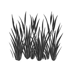 Wall Mural - grass blades silhouette illustration. nature and landscaping design element isolated vector illustra