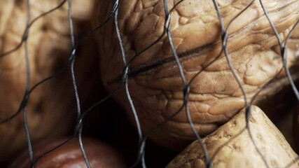 Assorted netted shelled nuts extreme close up stock footage