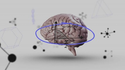 Poster - 3D human brain model floating over light gray surface, showing molecular diagrams in 3D render
