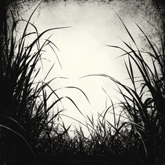 Poster - Moody Black And White Grass Silhouette With High Contrast