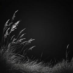 Poster - Silver Grasses Against Dark Background Monochromatic Botanical Image
