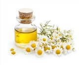 Chamomile oil with flowers and seeds, white background.