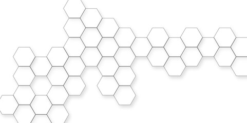 Canvas Print - beautiful geometric background pattern, modern abstract polygonal pattern, futuristic nature backgro