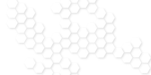 Canvas Print - abstract geometric mesh cell texture modern futuristic wallpaper, white 3d render hexagonal geometri