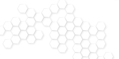 Canvas Print - abstract white and black lines 3d hexagonal, modern abstract vector polygonal pattern, showcasing ge