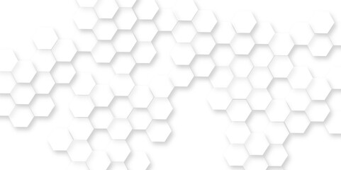 Canvas Print - abstract white hexagon concept background, perfect geometric pattern or beautiful hexagon background