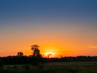 Wall Mural - Silhouette of trees and hot blue sunset sky. Nobody. Calm and relaxing nature scene.