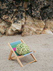Fototapete - A brain is on a sun lounger bed in a calm nature environment. Relaxation of mind concept with help of fresh air and beautiful scenery. Time for a break theme. Avoid burn out measure