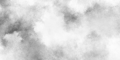 Canvas Print - abstract soft textured white and black with gray speckles background, soft white watercolor grunge t