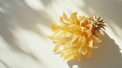 Poster - Dried pineapple on white background with shadow.